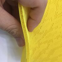 Polyester Mesh Greige Fabric for Running Shoes